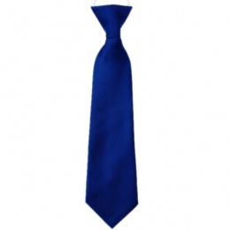 Boys Royal Blue Plain Satin Tie on Elastic